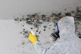 Best Attic Mold Removal  in Saddle River, NJ